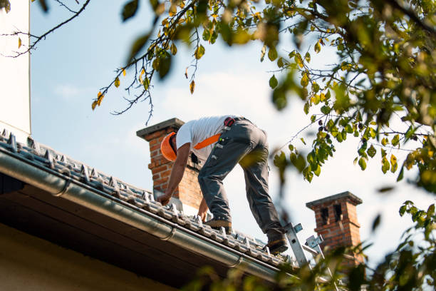 Best Roof Gutter Cleaning  in Reform, AL